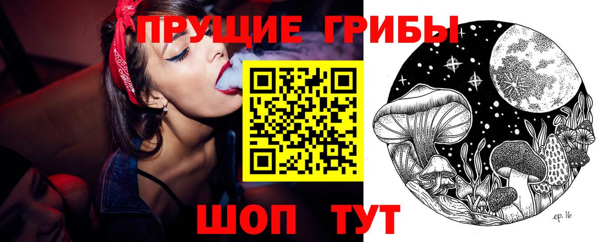 Саранск  Псилоцибиновые грибы мухоморы  Вход с VPN 
