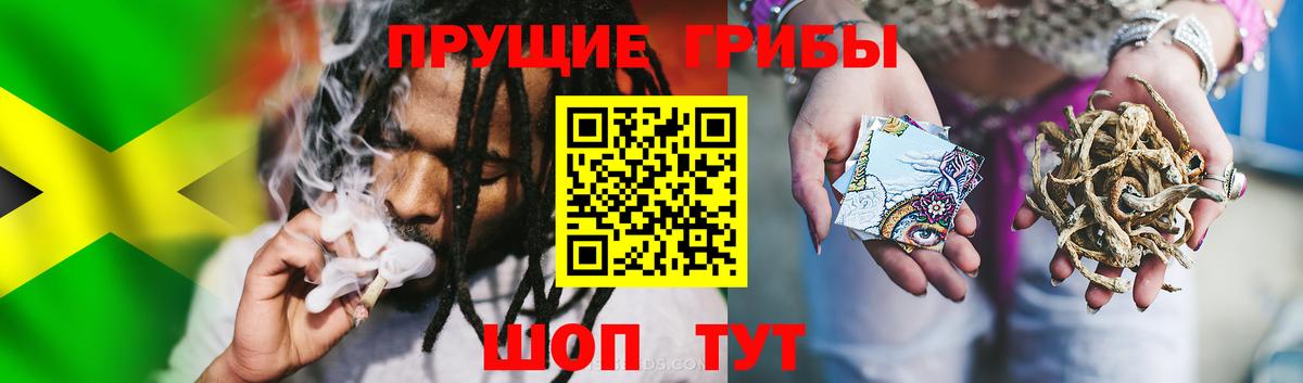 Псилоцибиновые грибы GOLDEN TEACHER Саранск